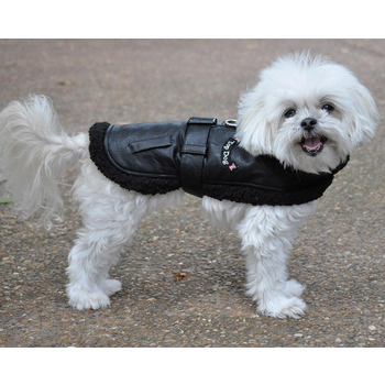 Doggie Design - Top Dog Flight Harness