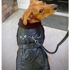 Doggie Design - Top Dog Flight Harness