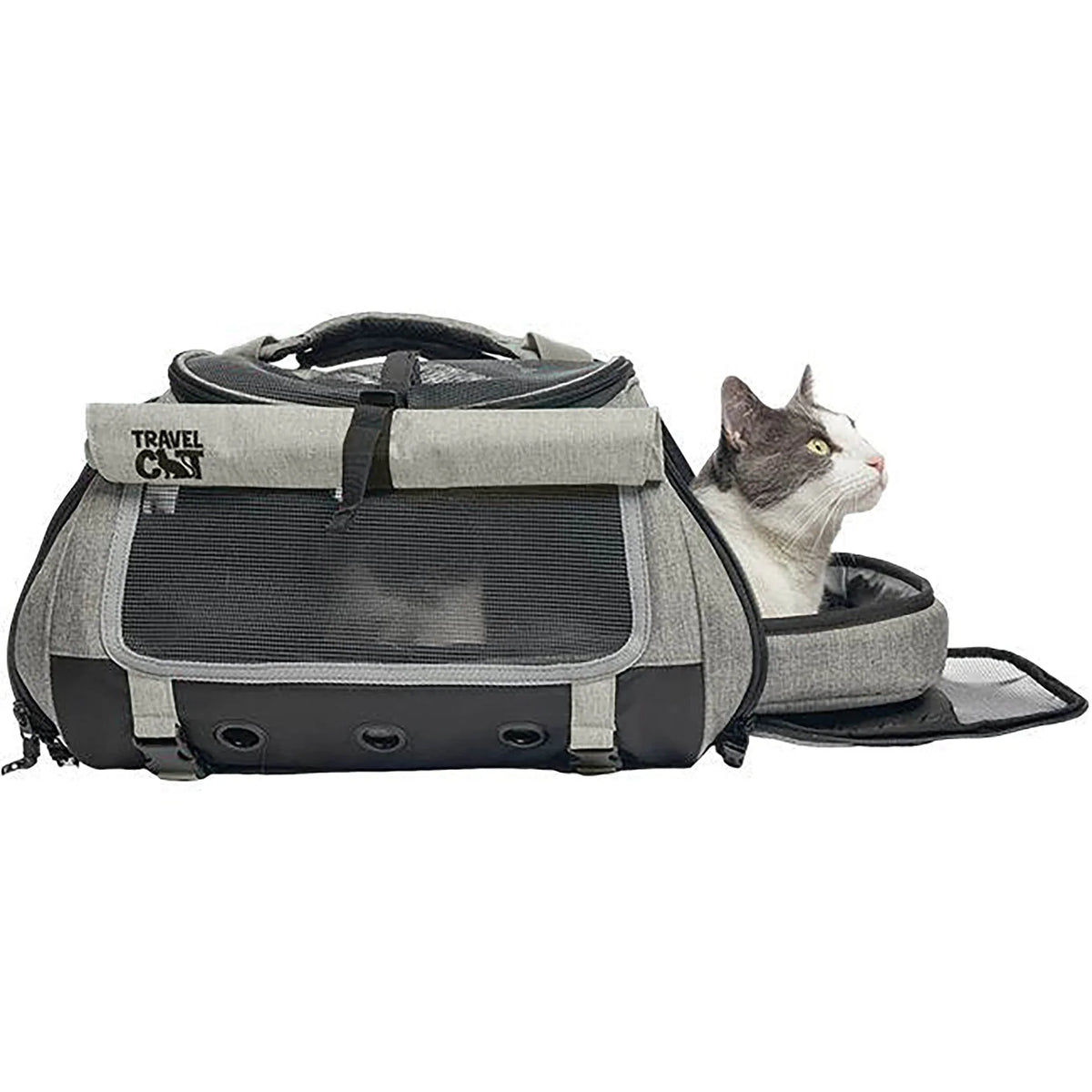 Travel Cat - Backpack "The Transpurrter"