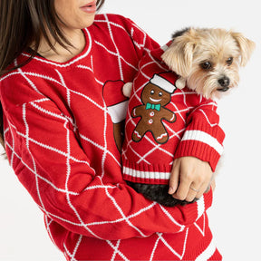 Christmas Ugly Sweater Gingerbread (Man) for Dogs