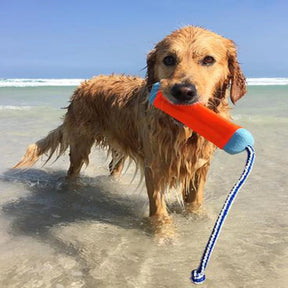 Amphibious Bumper Dog Toy