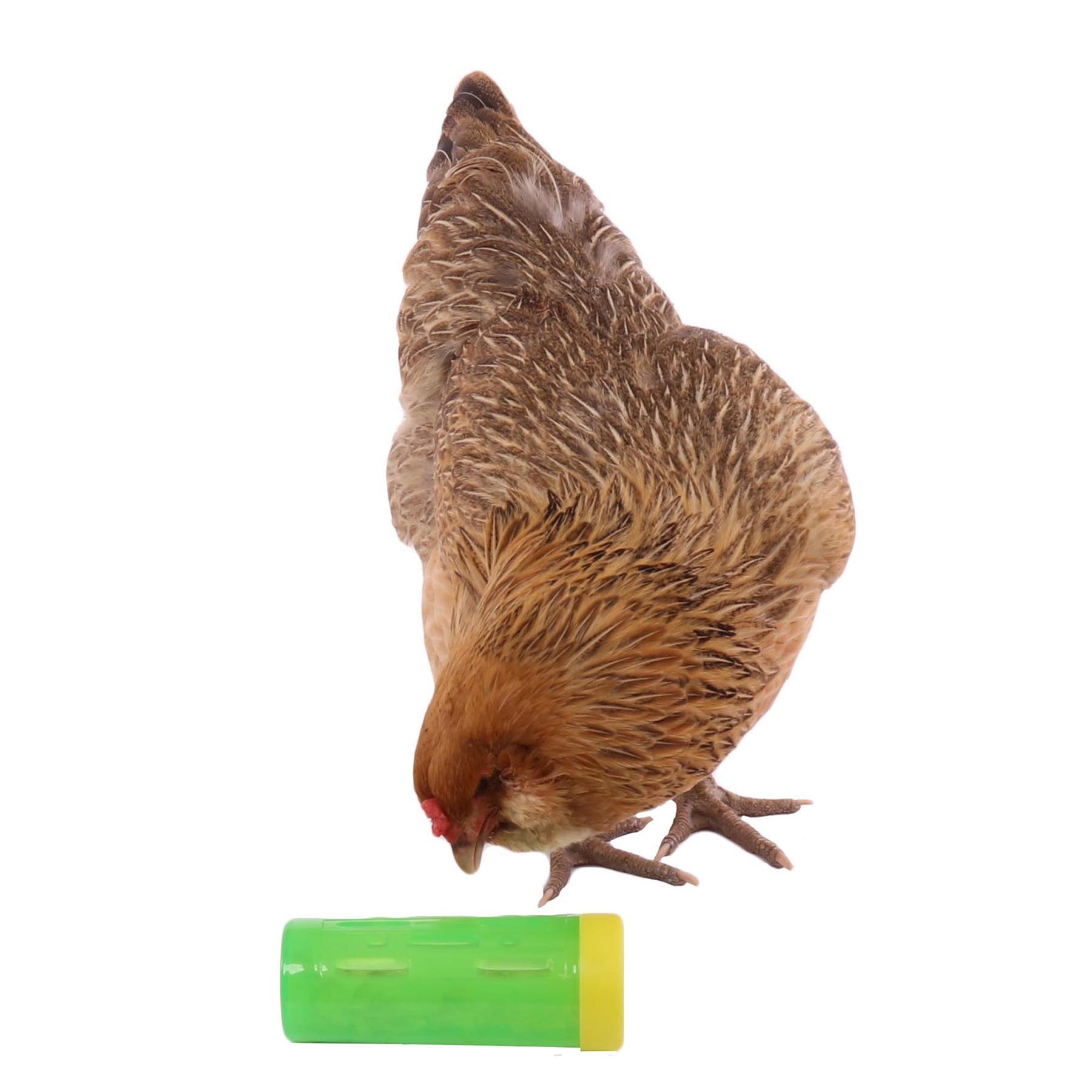 Chicken Treat Roller