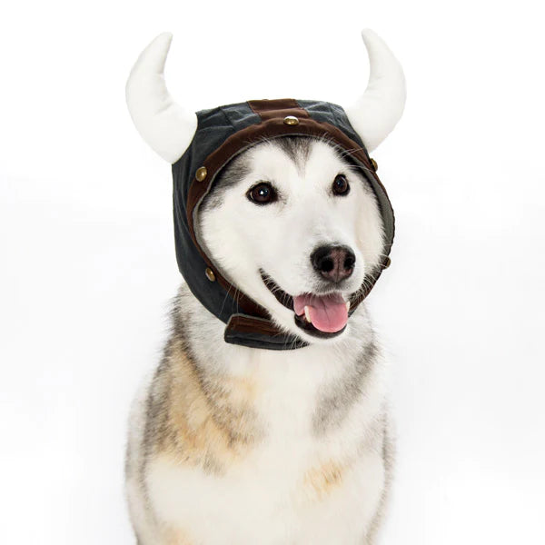 Dogo Pet - Viking Helmet Hat Costume