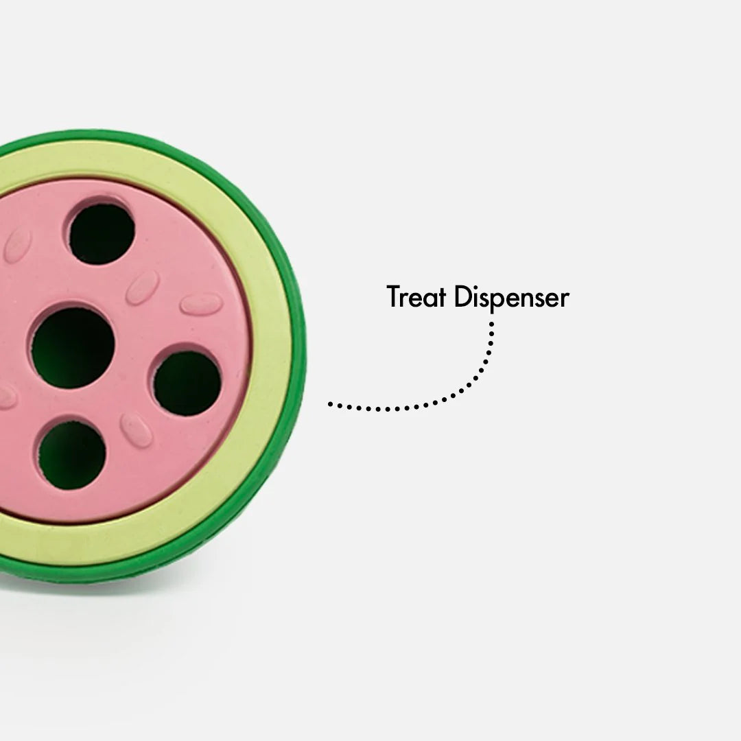 Silver Paw - Watermelon Dog Toy