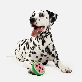 Silver Paw - Watermelon Dog Toy