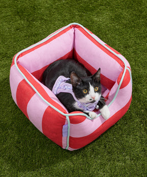 Wild One - Cat Bed Bubblegum Colorblock