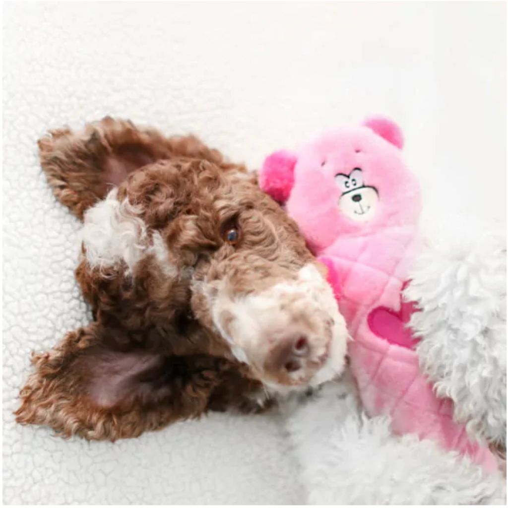 ZippyPaws - Valentine's Jigglerz Pink Bear Plush