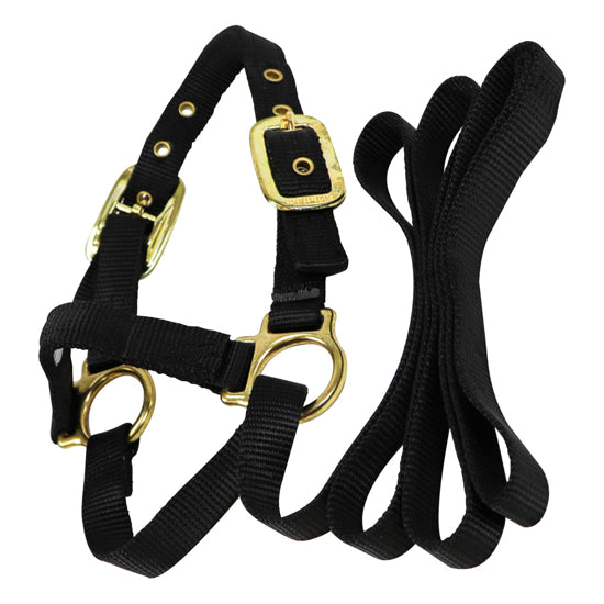 Adult Sheep nylon black halter - Southern Agriculture