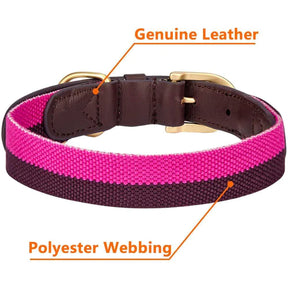 Blueberry Pet - Dog Collar Leather Striped Hot Pink & Purple