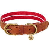 Blueberry Pet Dog Collar Leather Striped Red & White