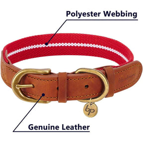 Red & White | Full Grain Leather & Polyester Dog Collar