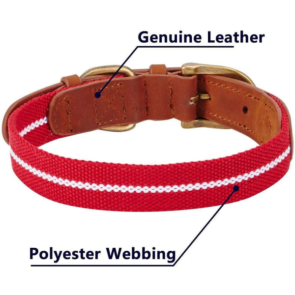 Red & White | Full Grain Leather & Polyester Dog Collar