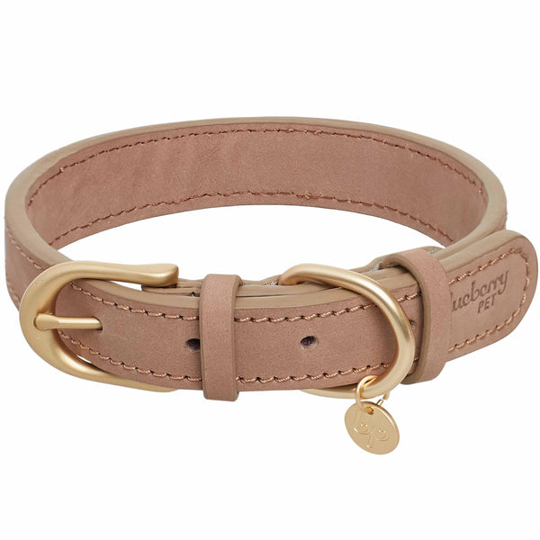 Genuine Leather Dog Collar- Southern Agriculture