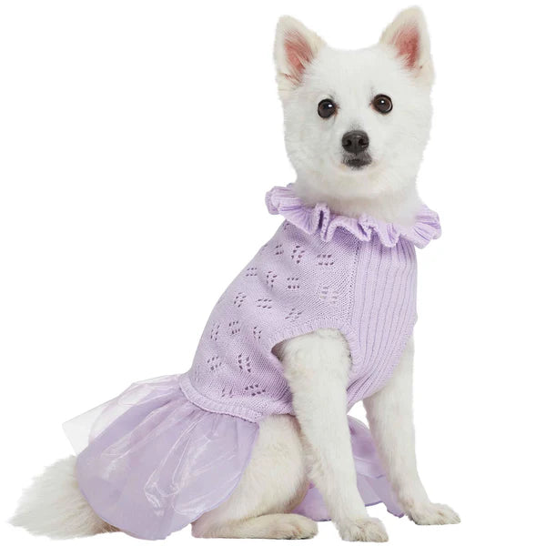 Blueberry Pet - Dog Sweater Dress Lavender