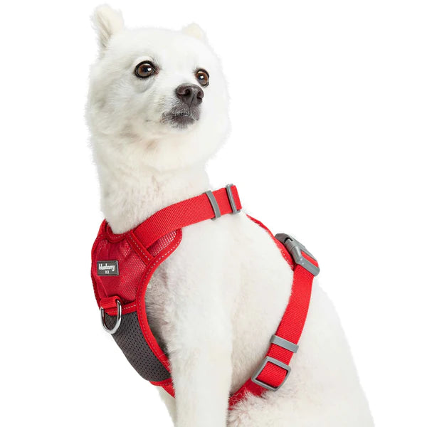 Dog Harness Vest Reflective	Mesh Padded No Pull Red
