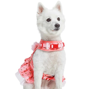 Blueberry Pet - Dog Harness Dress Floral Rose Pink