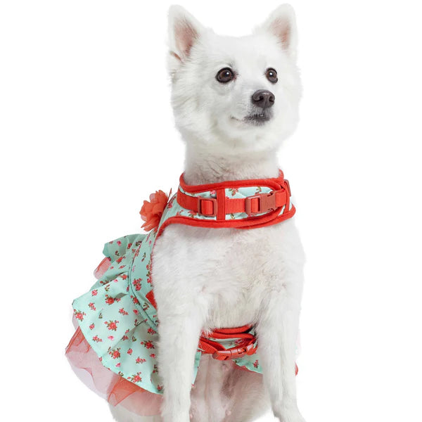 Blueberry Pet - Dog Harness Dress Floral Turquoise