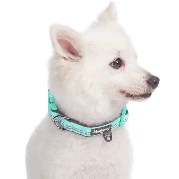 Blueberry Pet - 3M Reflective Neoprene Padded Dog Collar Pastel Mint Blue