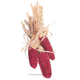 Botanical Interests, Inc. - Corn Popcorn Strawberry Seeds