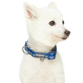 Blueberry Pet - 3M Reflective Neoprene Padded Dog Collar Navy
