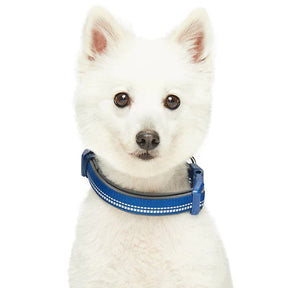 Blueberry Pet - 3M Reflective Neoprene Padded Dog Collar Navy