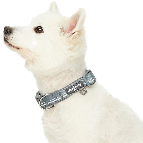 Blueberry Pet - 3M Reflective Neoprene Padded Dog Collar Grey