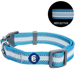 Blueberry Pet - Dog Collar Reflective Back To Basics Sky Blue