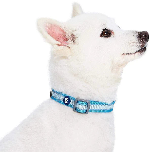Blueberry Pet - Dog Collar Reflective Back To Basics Sky Blue