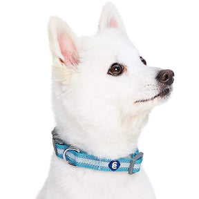 Sky Blue | Back to Basics Reflective Dog Collar