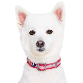 Blueberry Pet - Dog Collar Reflective Back To Basics French Pink