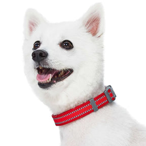 Blueberry Pet - Dog Collar Reflective Back To Basics Rogue Red