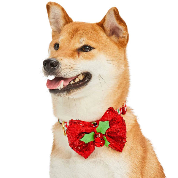 Blueberry Pet - Dog Collar Christmas Diamonds
