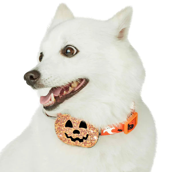 Jack-O-Lantern | Halloween Dog Collar