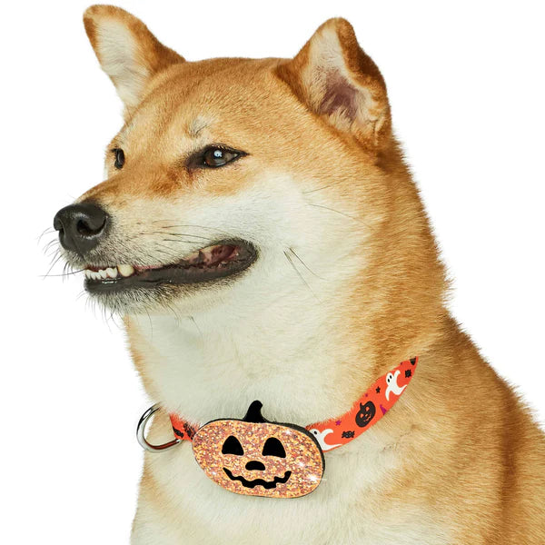 Blueberry Pet - Dog Collar Halloween Jack-O-Lantern