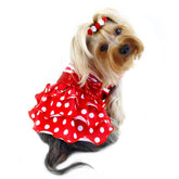 Klippo Sparkling Bow Ruffle Layered Dog Dress - Red