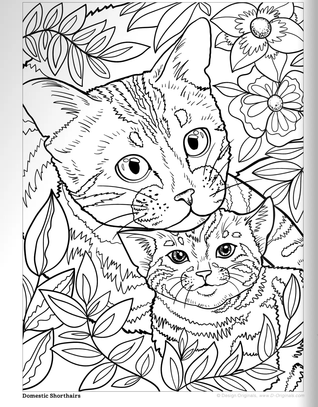 Coloring Book Cats & Kittens