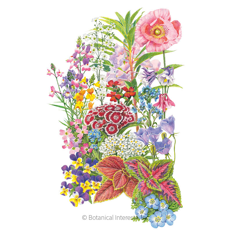 edible beauties flower mix seeds Made in the Shade Flower Mix Seeds
