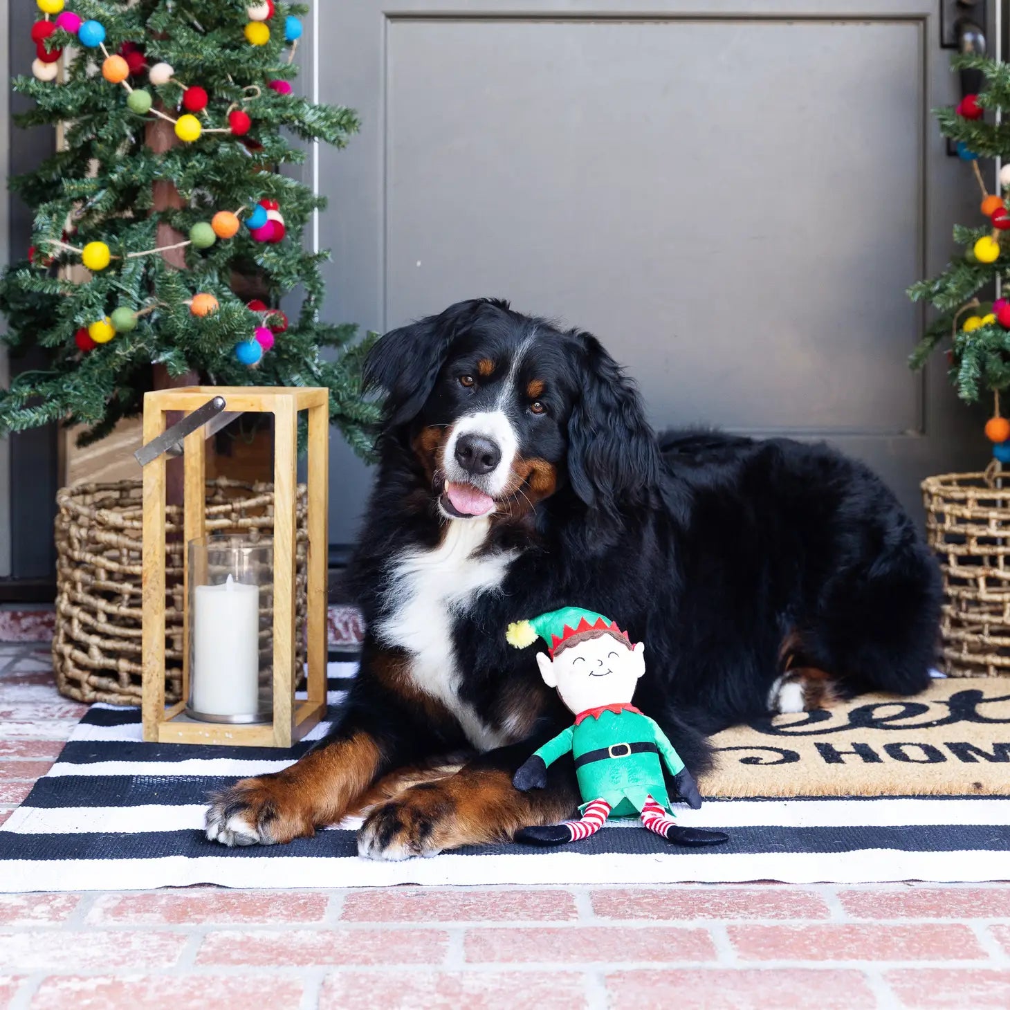 Dog Toy Believe In Your Elf