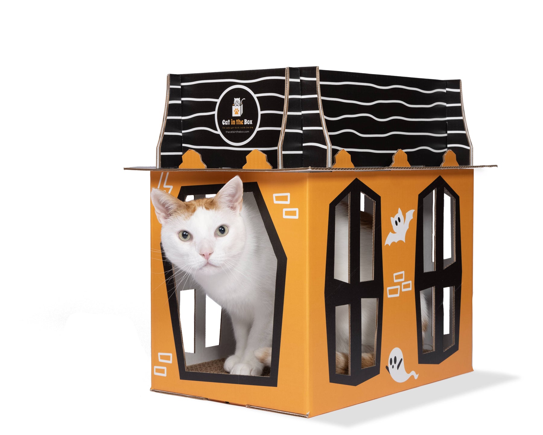 Spooky Cat Haunted House - Cardboard Box Playhouse for Cats-Southern Agriculture