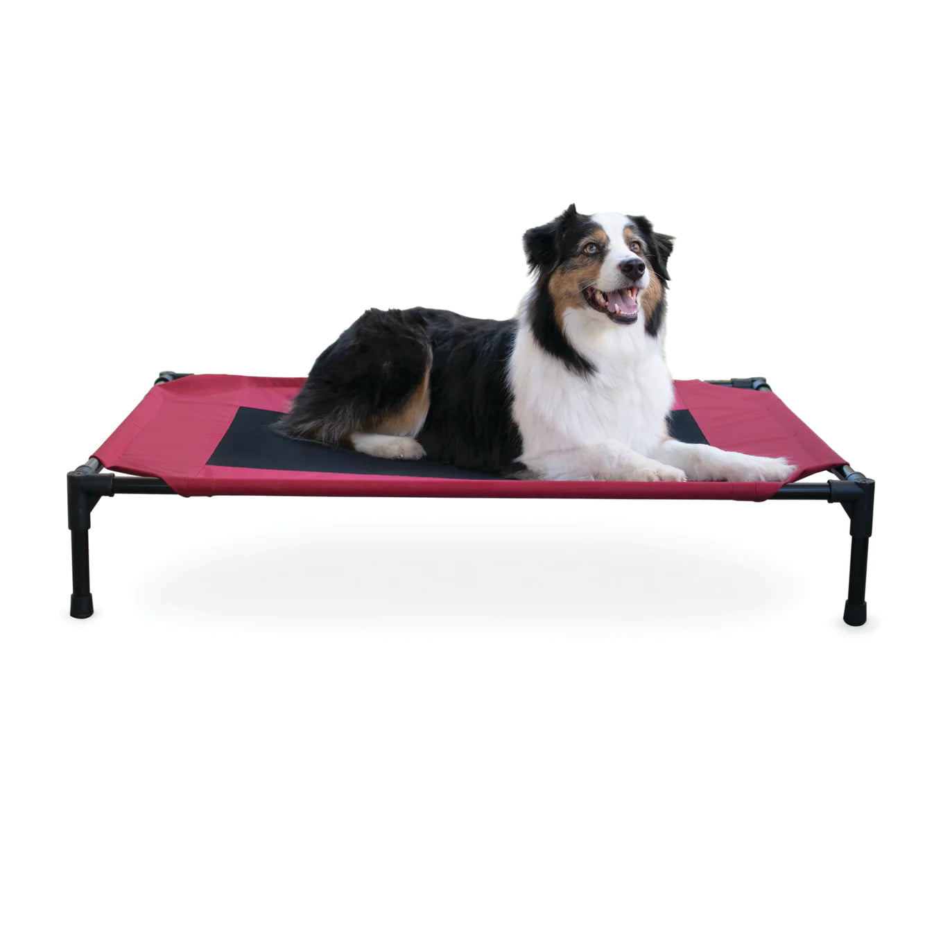 Elevated Pet Bed - Red