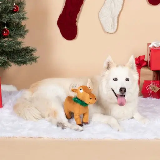 Merry Chrismoose Dog Toy