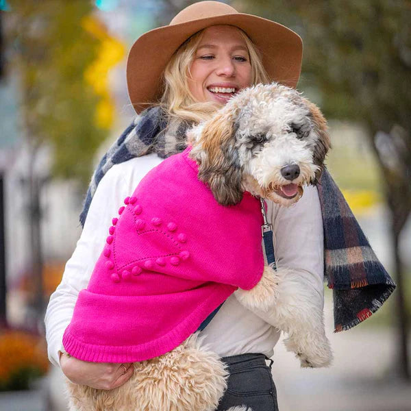Blueberry Pet - Heart Designer Dog Sweater Pink
