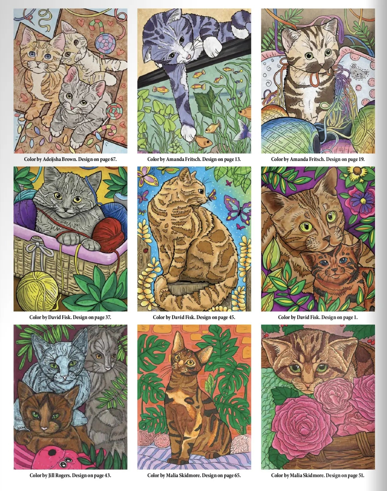 Coloring Book Cats & Kittens