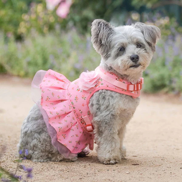 Blueberry Pet - Rose Baby Pink | Made Well Floral Dog Dress Harness Blueberry Pet - Rose Baby Pink | Made Well Floral Dog Dress Harness