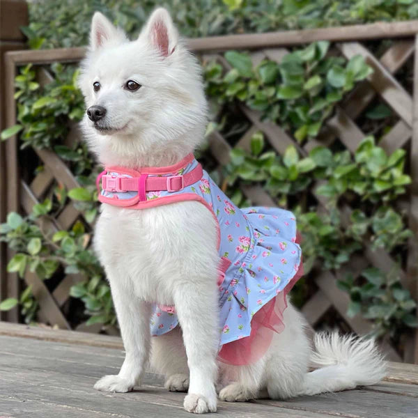 Blueberry Pet - Dog Harness Dress Floral Pastel Blue