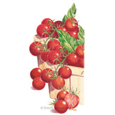 Tomato Cherry Sweetie Organic