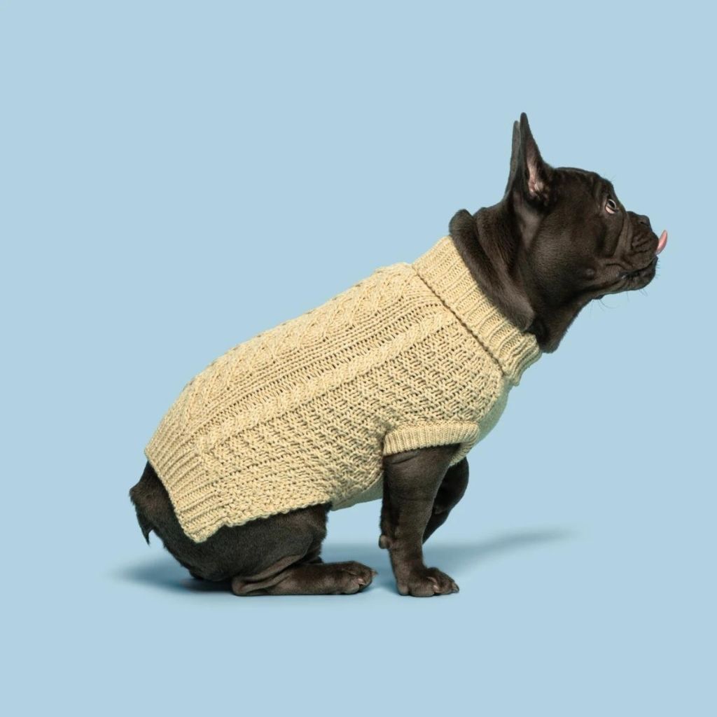 Fab Dog Sweater Super Chunky Oatmeal-Southern Agriculture