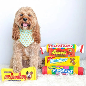 Huxley & Kent - Lulubelles Mr. Goodboy Stuffless Dog Toy