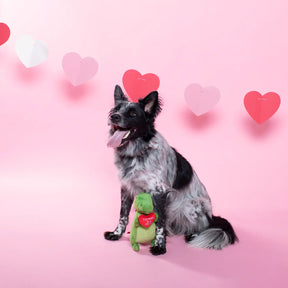 Petshop by Fringe Studio - Love to Last a Million Years  Rex Dog Toy