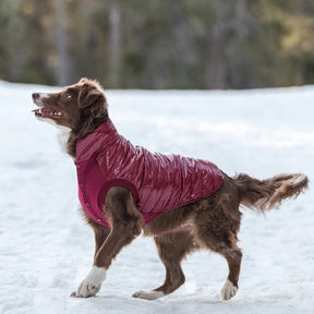 Burgundy | Dog Puffer Jacket